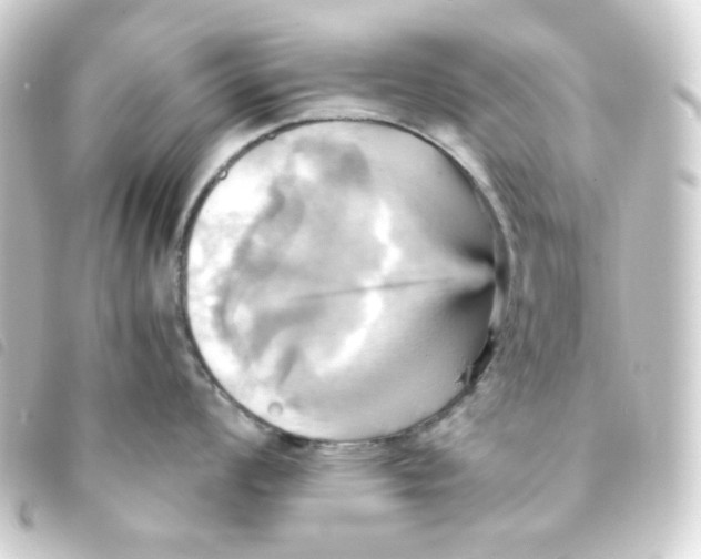 X0000093241008200710241252