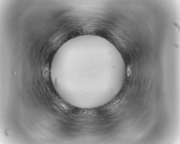 X0000093241011200710241251