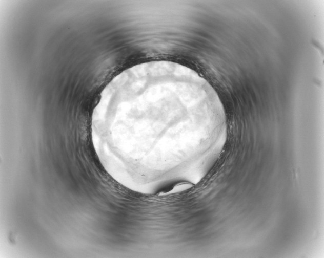 X0000093241012200710241251