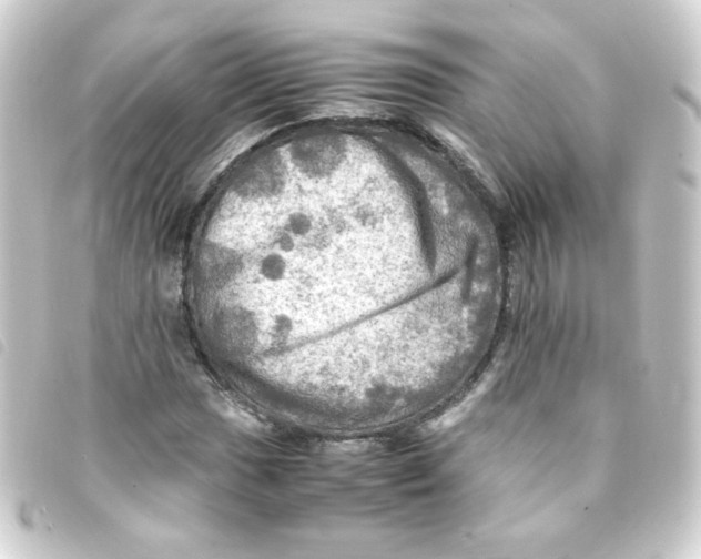 X0000093241017200710241251