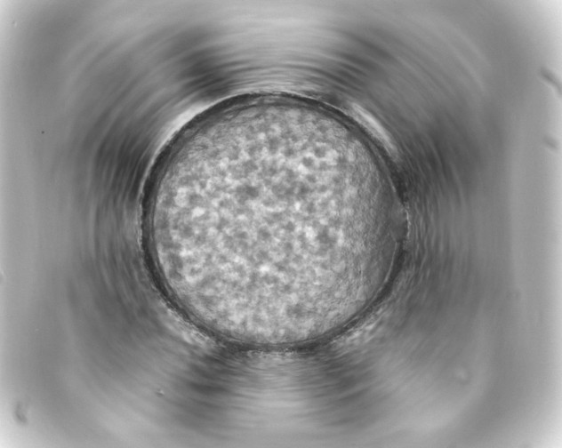 X0000093241020200710241251