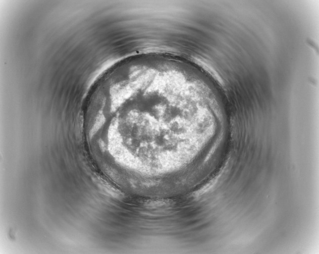 X0000093241021200710241251