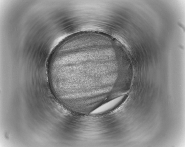 X0000093241022200710241251