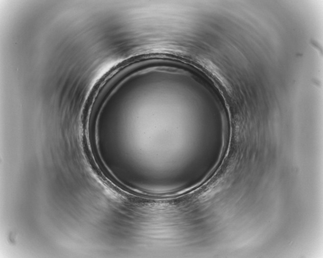 X0000093241024200710241251