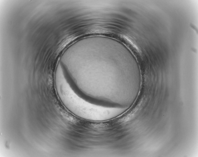 X0000093241025200710241251