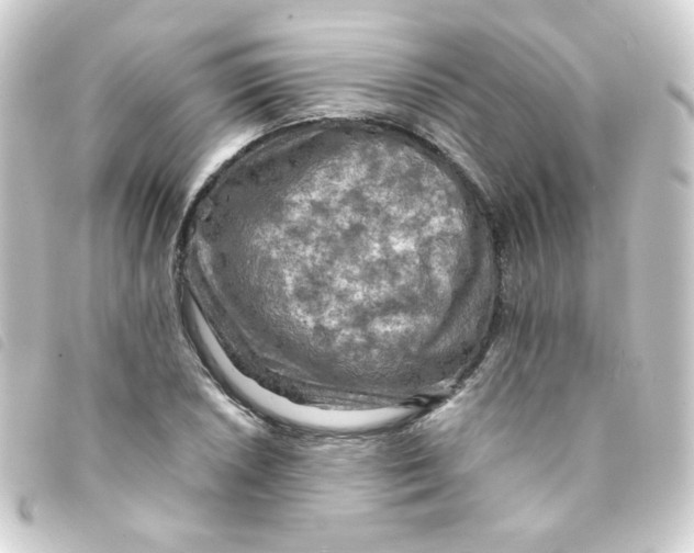 X0000093241026200710241251