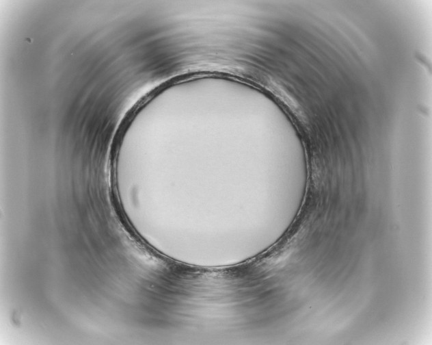 X0000093241028200710241251