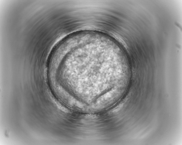 X0000093241029200710241251