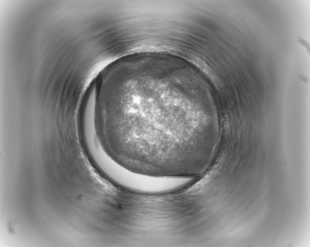 X0000093241030200710241251