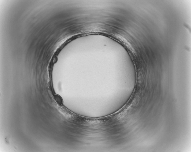 X0000093241031200710241251