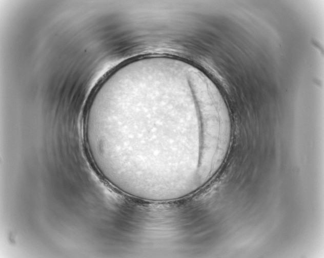 X0000093241032200710241251