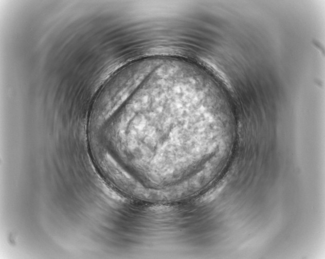 X0000093241033200710241251