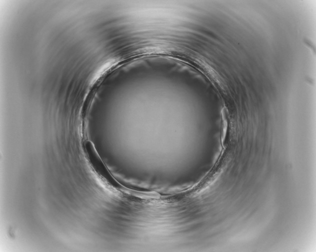 X0000093241034200710241251