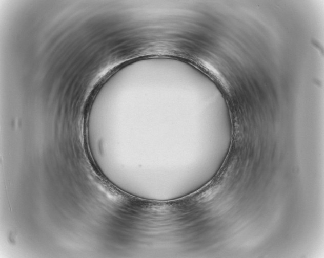 X0000093241035200710241251