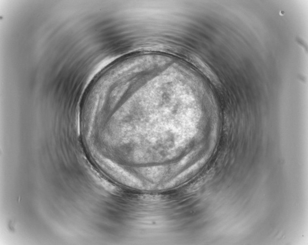 X0000093241036200710241251