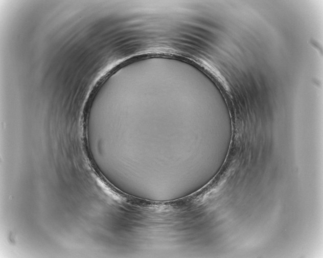 X0000093241037200710241251