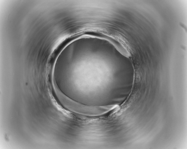 X0000093241038200710241251