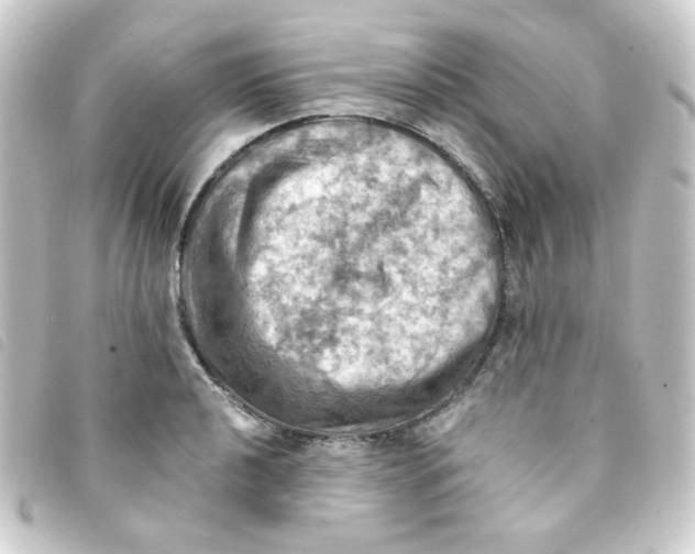 X0000093241040200710241251