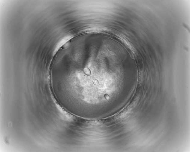 X0000093241042200710241251