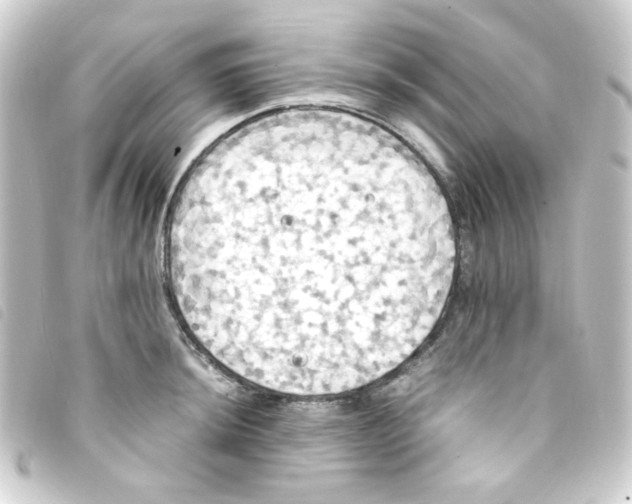 X0000093241044200710241251