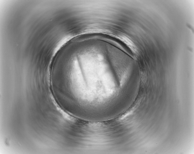 X0000093241046200710241251