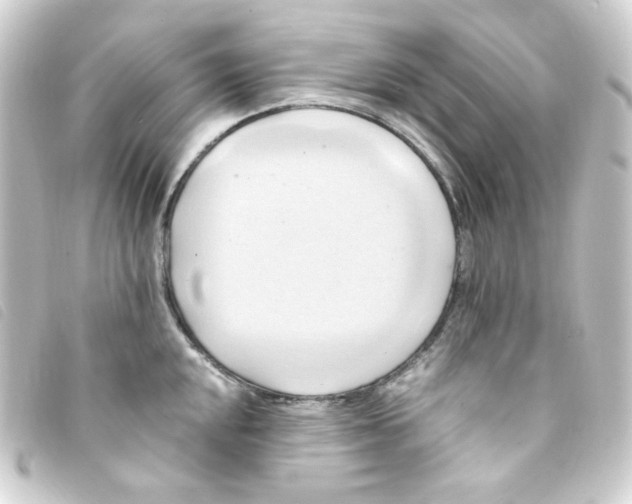 X0000093241048200710241251