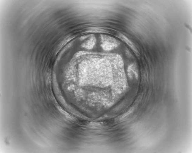 X0000093241049200710241251