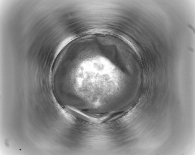 X0000093241050200710241251