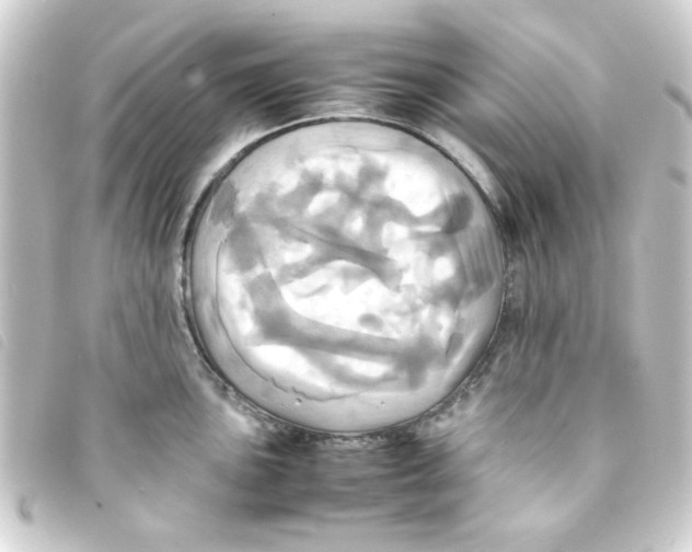 X0000093241051200710241251