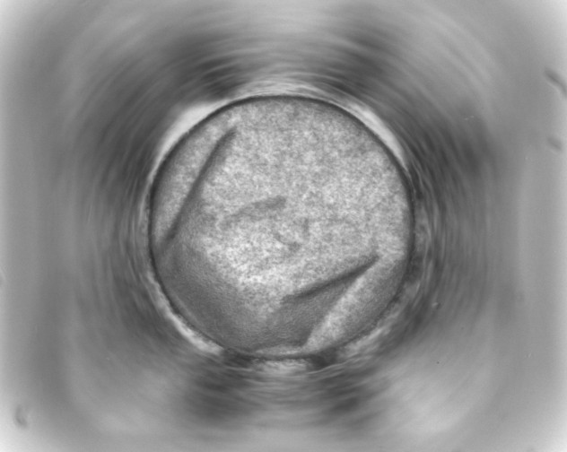 X0000093241053200710241251