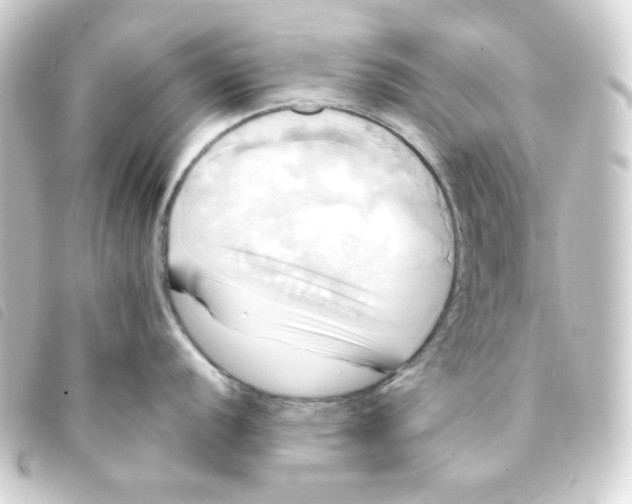 X0000093241056200710241252