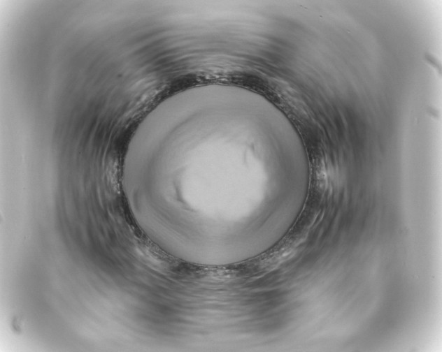 X0000093241060200710241251