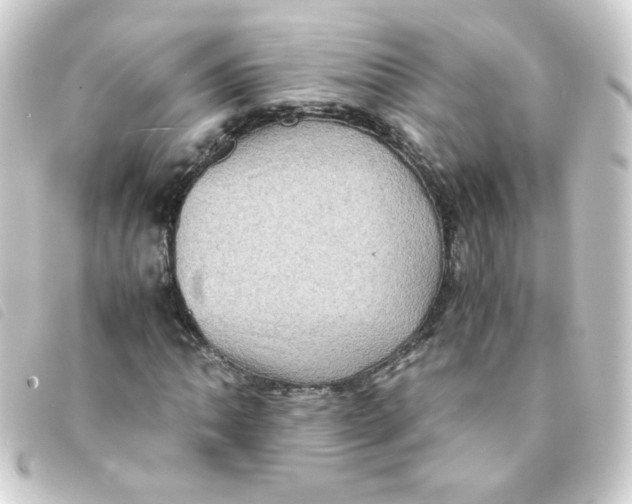 X0000093241062200710241251