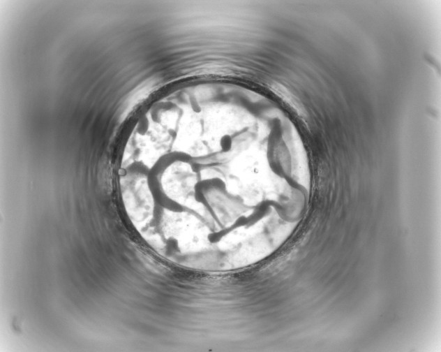 X0000093241067200710241251