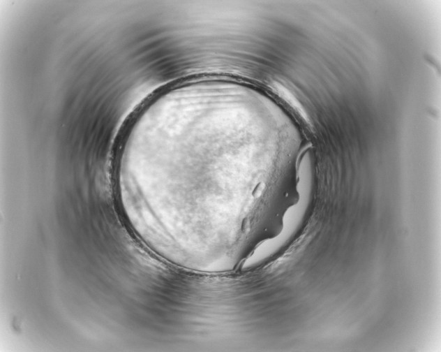 X0000093241068200710241251