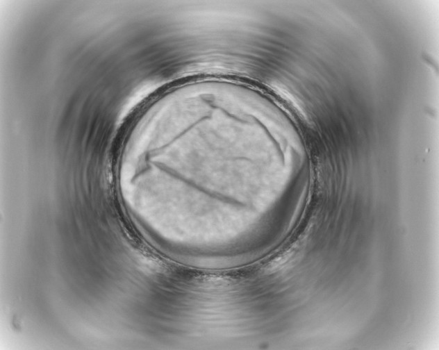 X0000093241070200710241251