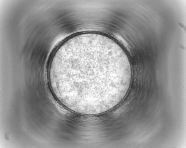 X0000093241072200710241251