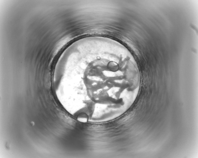 X0000093241075200710241251