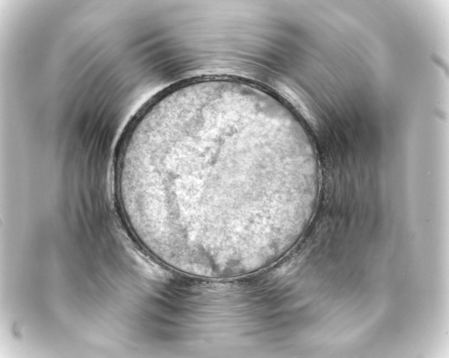 X0000093241076200710241251