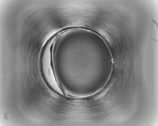 X0000093241077200710241251