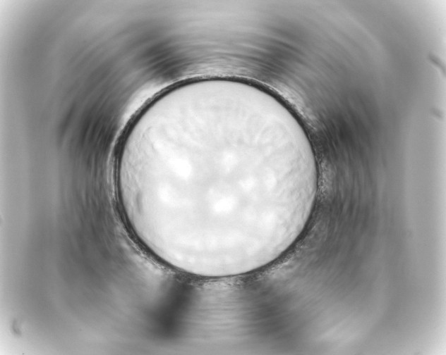 X0000093241078200710241251