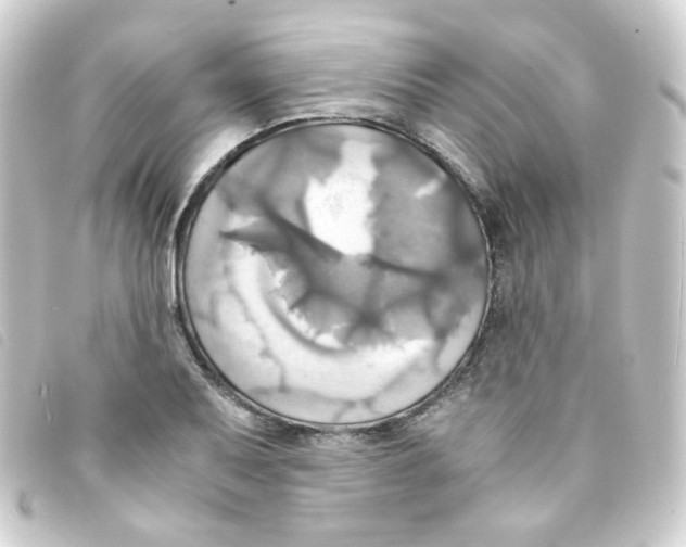 X0000093241079200710241251