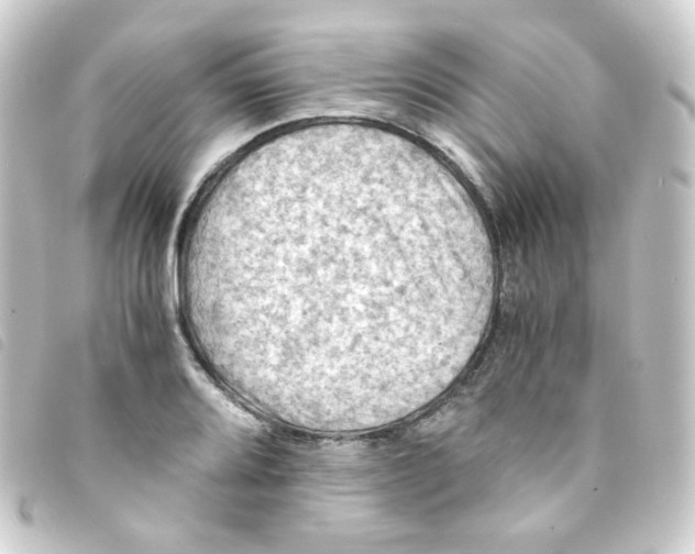 X0000093241080200710241251