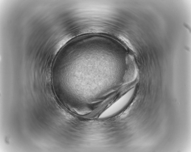 X0000093241081200710241250