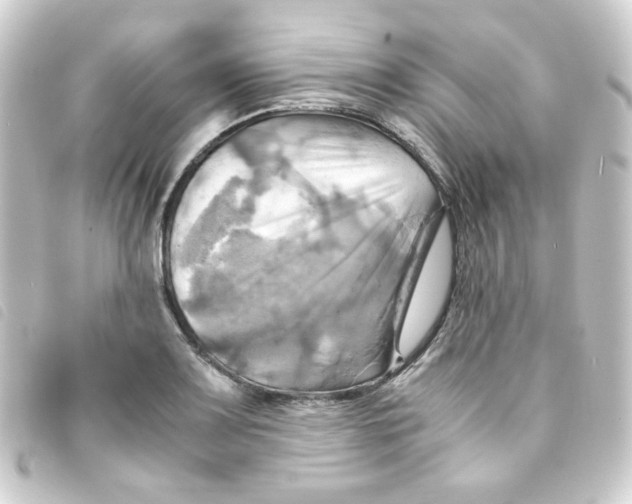 X0000093241083200710241250