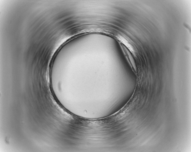 X0000093241084200710241250