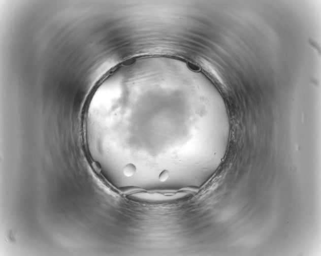 X0000093241087200710241250