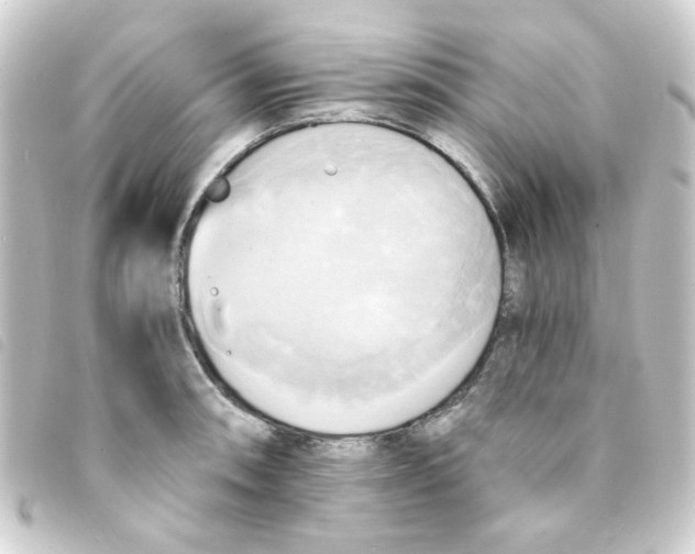 X0000093241090200710241250