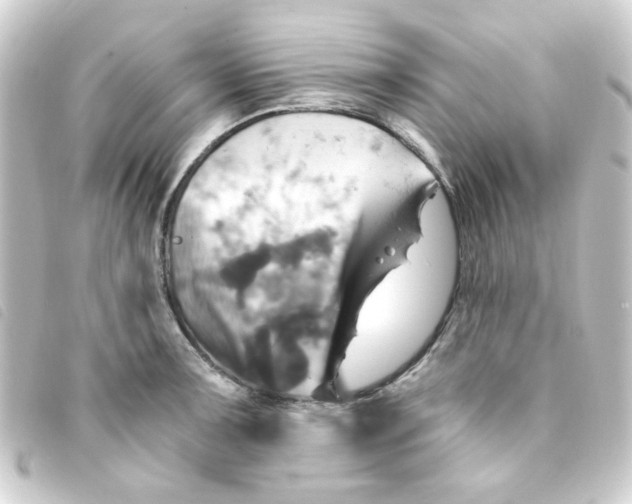 X0000093241091200710241250