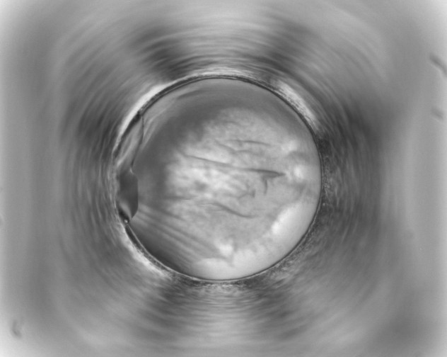 X0000093241092200710241250